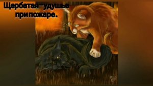 Смерти Котов - Воителей.