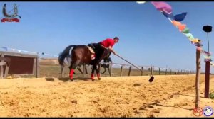 Брюховецкие Казаки. Виртуозная джигитовка в станице Атамань.