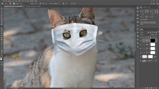 Cat that Wears Mask – Coronavirus in Adobe Photoshop смотреть онлайн