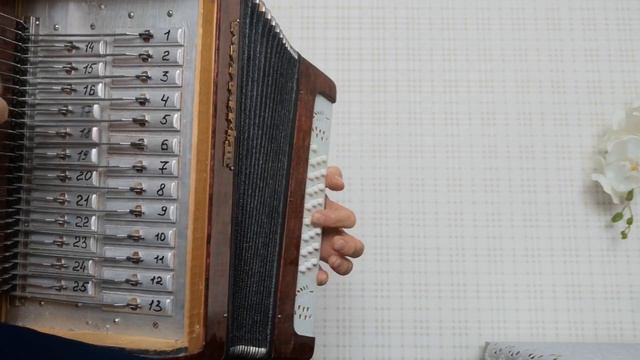 Разбор на гармони (аккордами):"Щи"(Сектор Газа)