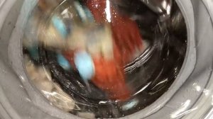 Experiment - Toilet Tablets - in a Washing Machine