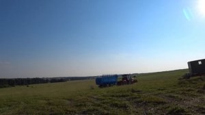 КИРОВЕЦ К-525, КИРОВЕЦ К-739, ПС-15 ЯРОСЛАВИЧ. Заготовка силоса.