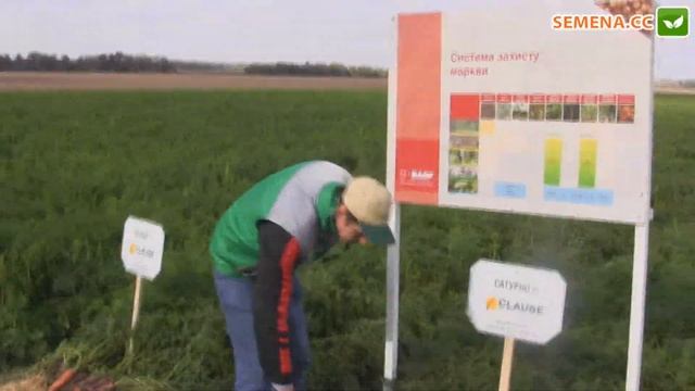 Сатурно и Матч морковь компании Clause день поля смотреть онлайн