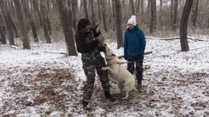 БШО Мэт. ЗКС