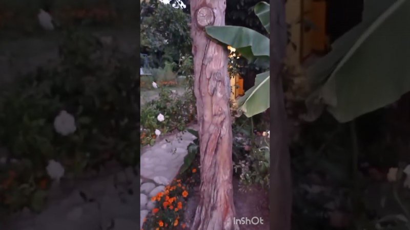 Золотые руки
