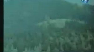 Павло Дворський - Смерекова Хата