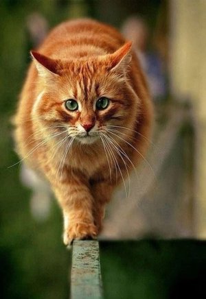 Добрый День! Пусть День Будет Тихим и Спокойным!