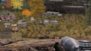 это может нам поют свои.