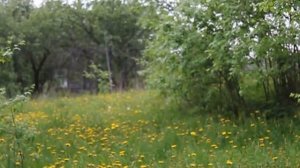 Витю видел?