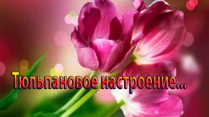 Тюльпановое настроение*