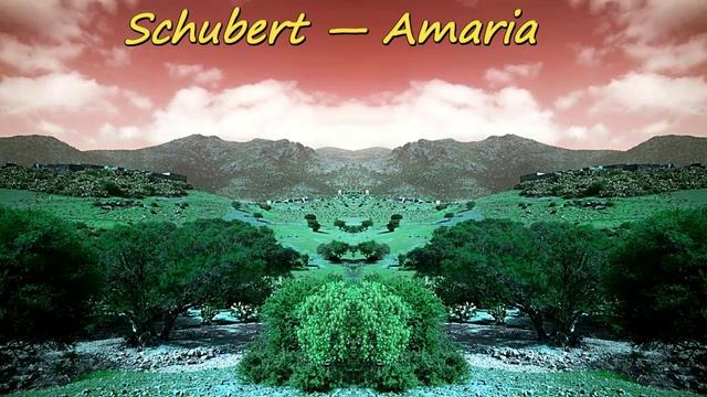 Schubert — Amarià