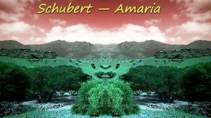 Schubert — Amarià