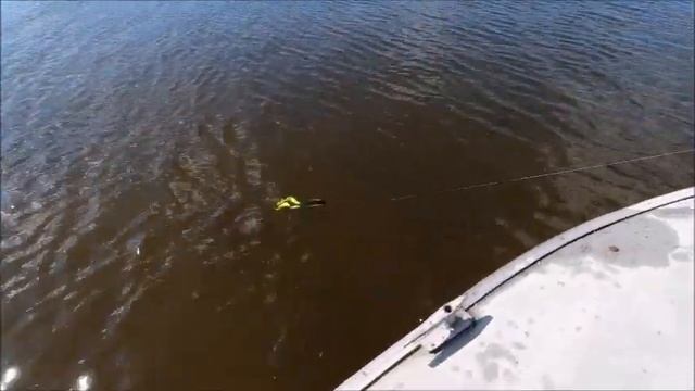 Двухвостая резина Balzer Shirasu Pike Collector , Mann’s Twinler Tail и Abu Garcia Beast Twin Tail смотреть онлайн