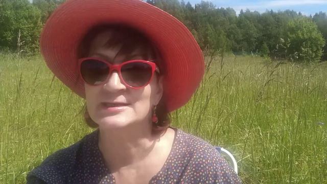 Про игру "Женщина - Кошка" смотреть онлайн