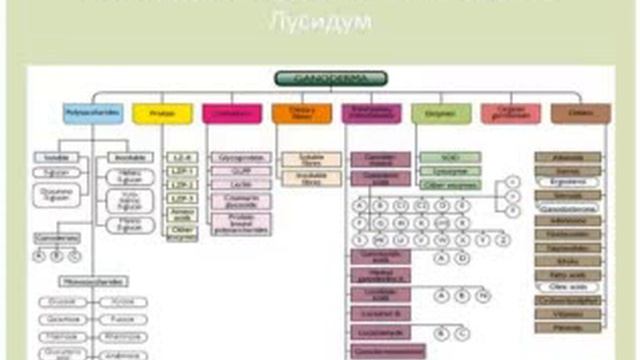 Полезные свойства зеленого чая ОРГАНО ГОЛД. смотреть онлайн