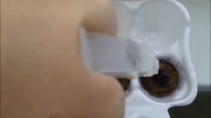 2этап проращивания семян банана