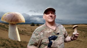 Удивительные находки благородных грибов в мае. Уникальное место в Ростовской области.