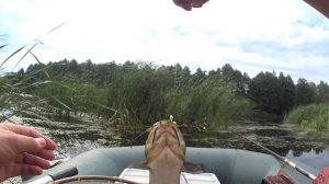 АФИГЕТЬ -РЫБАЛКА на СОМА. ЛОВЛЯ СОМА это КРУТО.