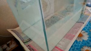 Проверка аквариума на протечку