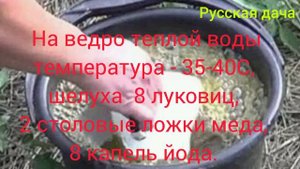 КАБАЧКИ ЗАВАЛЯТ УРОЖАЕМ! НАРОДНОЕ СРЕДСТВО! КАК ВЫРАСТИТЬ БОЛЬШОЙ УРОЖАЙ.