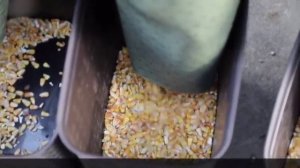 Машина для очистки и калибровки зерна АЛМАЗ МС