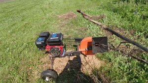 16 июня 2024 г.