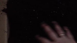 Зимняя покупка пионов. Как сохранить.mp4