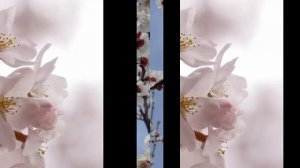 Vladimir Cosma -  Jeanne Et Lucas