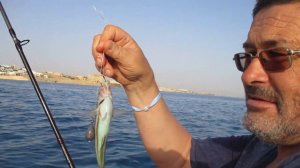 Рыбалка в центре Хургады (Египет)