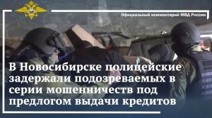 Ирина Волк: Новосибирские полицейские задержали подозреваемых в мошенничестве с выдачей кредитов