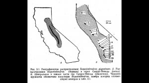 Глава 03. Микроэволюция. Воспроизводящаяся популяция