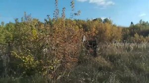 3 крутые заброшки белгорода