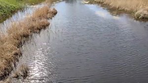 МАЛЫЕ РЕКИ РОСТОВСКОЙ ОБЛАСТИ