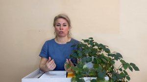 Видеообращение Сухаревой Ольги Павловны. Второй этап конкурса "Сердце отдаю детям"