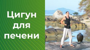 Цигун для печени. Цигун для начинающих. Уроки цигун.
