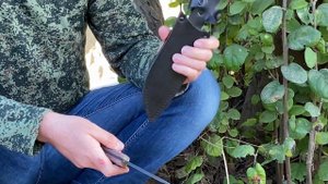 Кизлярский Нож Катран