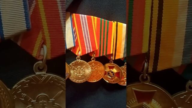 медали на парадном кителе / medals