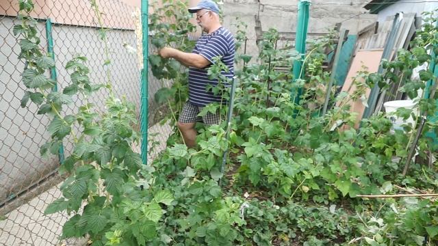 МАЛИНА: обязательно сделайте это ЛЕТОМ! смотреть онлайн