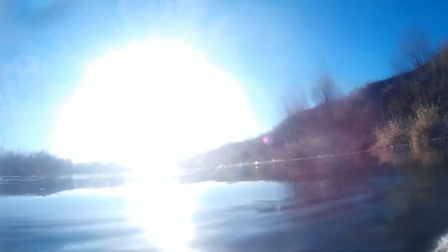 Подводная охота на стерлядь и осетра!Шок!подводная охота 2019