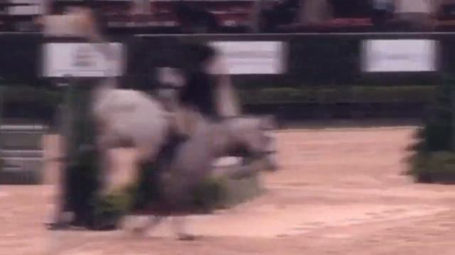 Клип конный спорт (хит моего лета)(без повода) смотреть онлайн