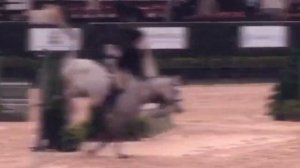 Клип конный спорт (хит моего лета)(без повода)