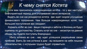 К чему снятся Котята – толкование сна по Соннику