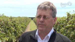 BerriQi - Visit to Boysenberry New Zealand Fruit Farm with Julian Raine