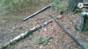 обзор студии