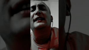RAMMSTEIN-MEIN TEIL(Русская озвучка feat Foxy Tail)