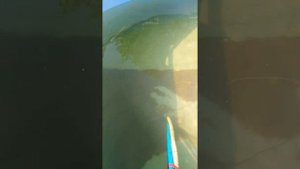 Пылесос для бассейна своими руками
