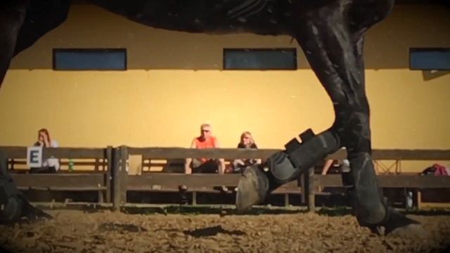 КСК "Игнатовские Конюшни" смотреть онлайн