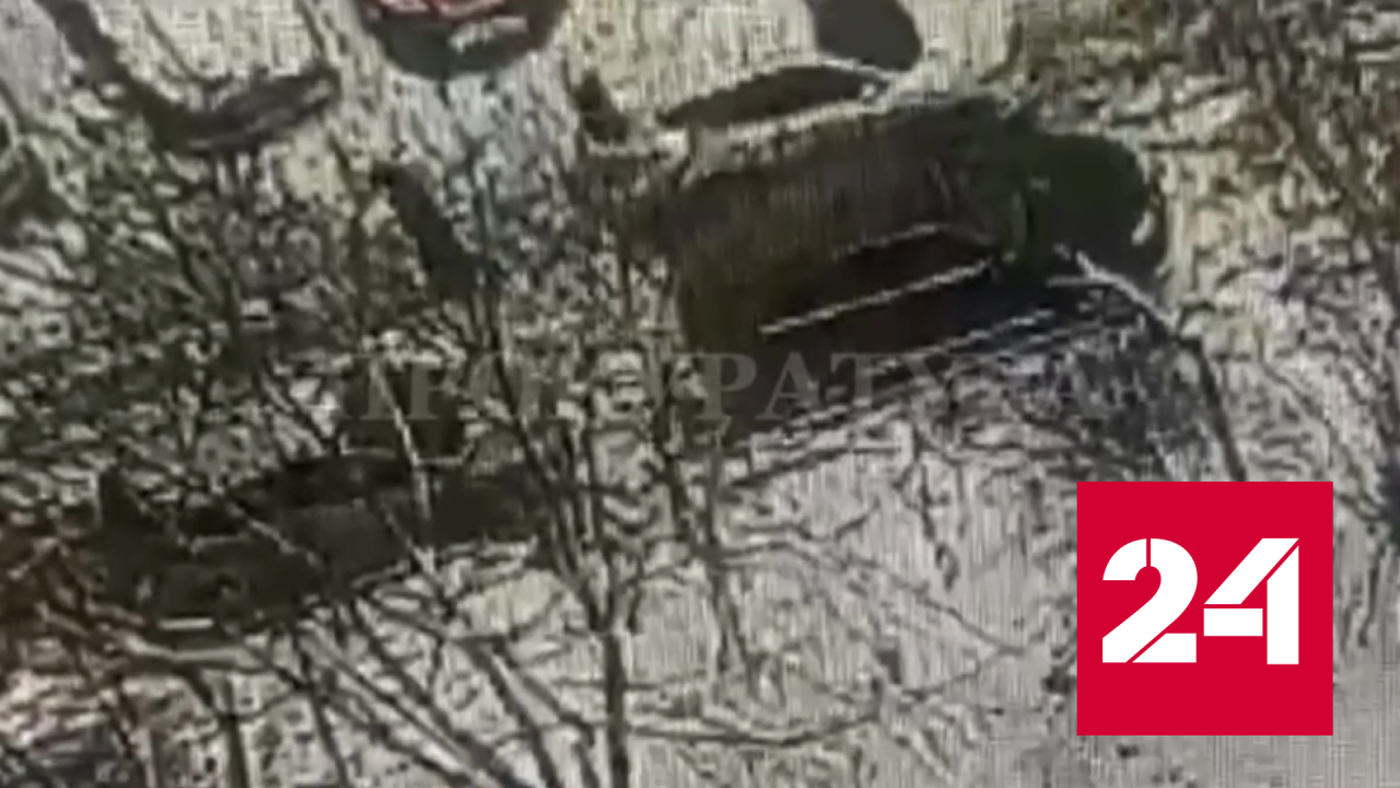 Водитель сбил пенсионерку на западе Москвы и скрылся с места - Россия 24