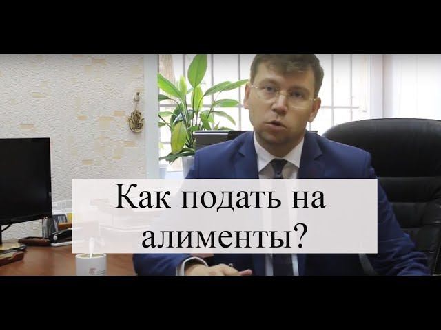 Взыскание алиментов на детей и супругу: как подать на алименты в суд