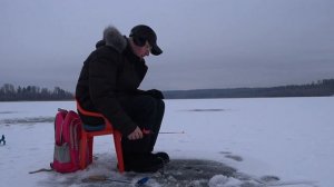 Моя первая зимняя рыбалка! Озеро Петровское (Петяярви)! My first ice fishing! Lake Petrovskoe.